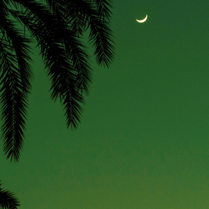 金谷乃宁无法拒绝的
